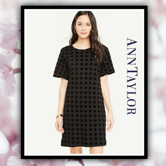 Ann Taylor Dresses & Skirts - ANN TAYLOR Velvet Polka Dot Midi Dress #AT1213B
